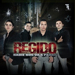 Regido - 6 Impactos