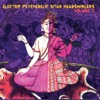 Electric Psychedelic Sitar Headswirlers, Vol. 11