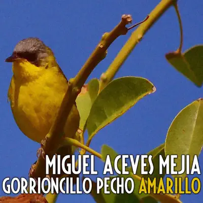 Gorrioncillo Pecho Amarillo - Single - Miguel Aceves Mejía
