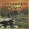 Sertanejas Eternas, Vol. 8, 2004