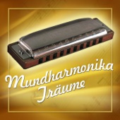 Mundharmonika Träume artwork