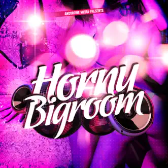 Horny Bigroom by Various Artists album reviews, ratings, credits