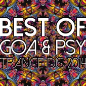 Best of Goa & Psy Trance DJs 2014 artwork