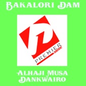 Bakalori Dam artwork