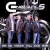 Om du vågar vill och kan - Single