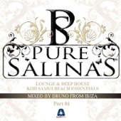 Pure Salinas - Koh Samui Beach Essentials, Pt. 1 (Compiled by Bruno from Ibiza) artwork