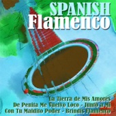 Spanish Flamenco artwork