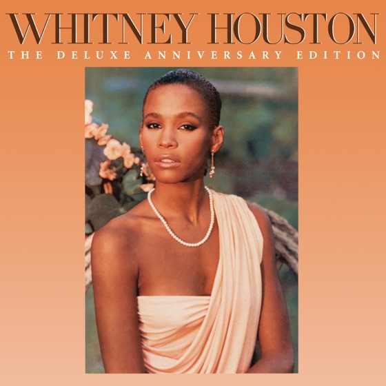 Cover artwork for Hold Me (with Teddy Pendergrass)