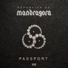 Passport - Single