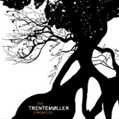 Trentemøller - The Digital Chronicles artwork