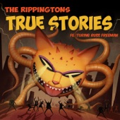 True Stories (feat. Russ Freeman) artwork