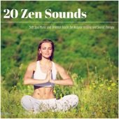 20 Zen Sounds - Soft Spa Music and Oriental Tracks for Natural Healing and Sound Therapy artwork
