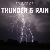 Sounds of Thunder and Rain artwork