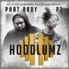 Hoodlumz album lyrics, reviews, download