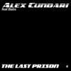 The Last Prison (feat. Babs) - Single