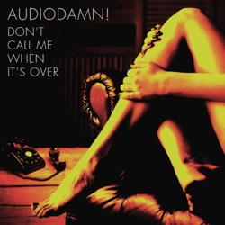 AudioDamn! - Don't Call Me When It's Over