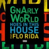 Hoes in This House (feat. Flo Rida) - Single