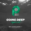Going Deep Special 1 album lyrics, reviews, download