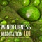 Ashana - Mindfulness Meditations lyrics
