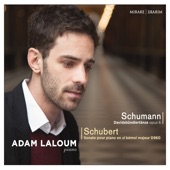 Schumann: Davidsbündlertänze, Op. 6 - Schubert: Sonate pour piano en Si-Bémol Majeur, D. 960 artwork