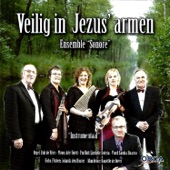 Veilig in Jezus' armen artwork