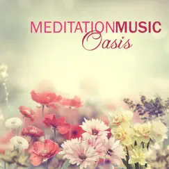 Meditation Music Oasis - 25 Meditative Relaxation Music & Zen Tibetan Buddhist Tracks for Inner Peace, Guided Imagery and Chakra Balancing by Relaxing Mindfulness Meditation Relaxation Maestro album reviews, ratings, credits