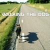 Walking the Dog artwork