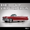 Rare Doo-Wop and Rhythm & Blues Vocal Groups, Vol. 1