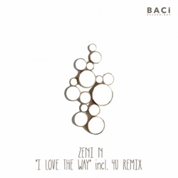 Zeni N - I Love the Way