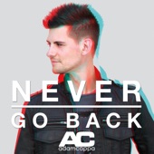 Never Go Back - EP artwork