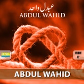 Abdul Wahid, Vol. 2 artwork