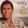 Quininho De Valente - Forró Sacudido