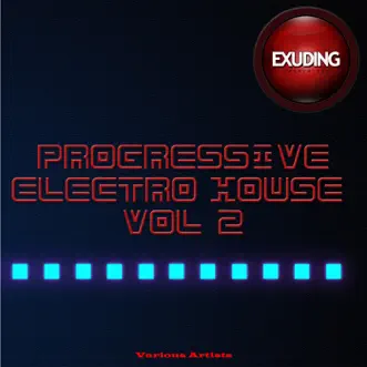 Progressive Electro House, Vol. 2 by Various Artists album reviews, ratings, credits