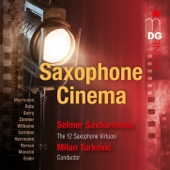 In the City (From "Psycho") - Selmer Saxharmonic & Milan Turkovic