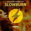 Slowburn - Single album lyrics, reviews, download