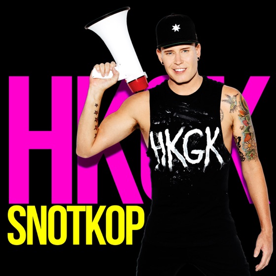 Cover artwork for Hoe Lykit!