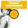 In the Moment (feat. Nengah Krisnarini) - Single album lyrics, reviews, download