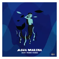 Inicios: Primeros Volúmenes - Agua Marina