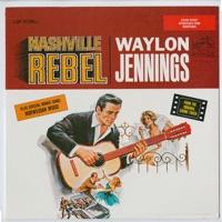 Nashville Rebel おすすめのカバー曲|アーティスト