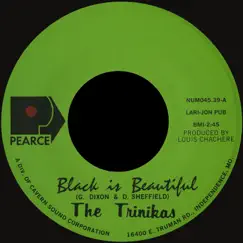 Black Is Beautiful / Remember Me - Single by Trinikas album reviews, ratings, credits