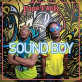 Sound Boy Next (Remix) artwork