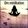 Om méditation - Zen musique de fond pour l'harmonie, Equilibre et relaxation de corps et l'esprit, Mantra bouddhiste, Yoga méditation, Tao réflexion (Sons du calme) album lyrics, reviews, download