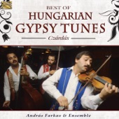Best of Hungarian Gypsy Tunes: Czárdás! artwork