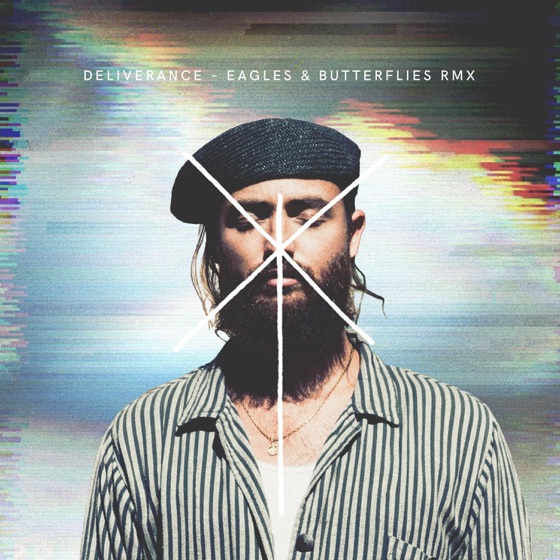 Cover artwork for Deliverance (Eagles & Butterflies Remix)