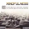Mindfulness: 30 Asian Music & Nature Sounds for Chakra Meditation Balancing, Reiki Healing Therapy for Massage, Calm Mind & Yoga Studio album lyrics, reviews, download