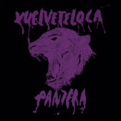 Pantera