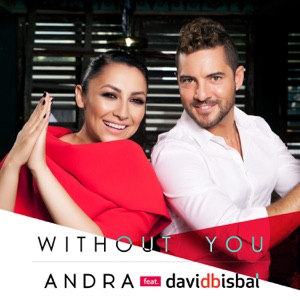 Andra - Without You (feat. David Bisbal) - Line Dance Musique