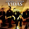 Vidas - Aprendí a Querer