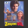 Sadhana Sargam - Mujhko Bhi Sang Le Chal