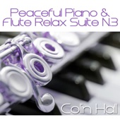 Peaceful Piano & Flute Relax Suite No.3 artwork